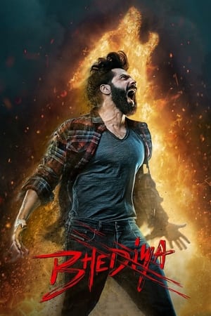 Bhediya 2022 Hindi Movie Pre- – - Movierulz