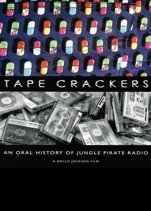 Pirate Radio (2009) Hindi Dual Audio [1GB] - Movierulz