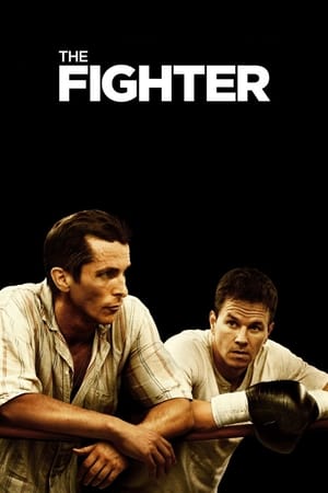 The Fighter (2010) Hindi Dual Audio [700MB] - Movierulz